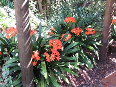 Explore a garden and home